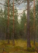 Pine forest